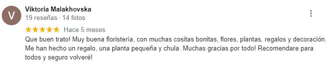 reseñas-google2
